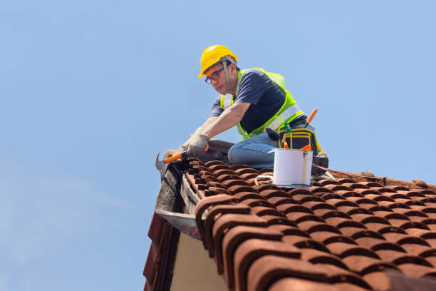 Best Roof Ventilation Installation  in Putney, GA